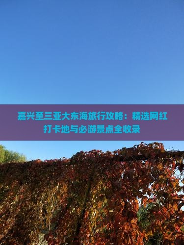 嘉兴至三亚大东海旅行攻略：精选网红打卡地与必游景点全收录