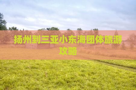 扬州到三亚小东海团体旅游攻略
