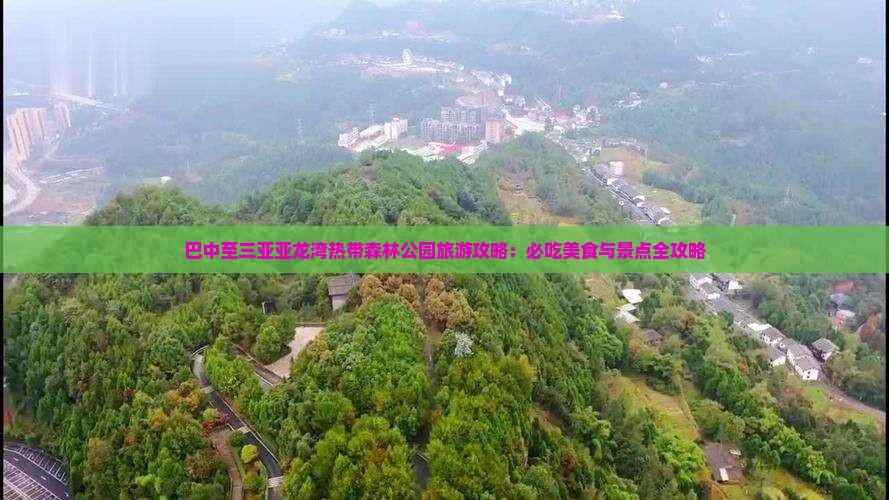 巴中至三亚亚龙湾热带森林公园旅游攻略：必吃美食与景点全攻略