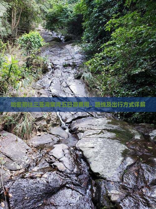 哈密前往三亚海棠湾五日游费用、路线及出行方式详解