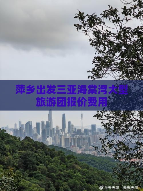 萍乡出发三亚海棠湾大型旅游团报价费用