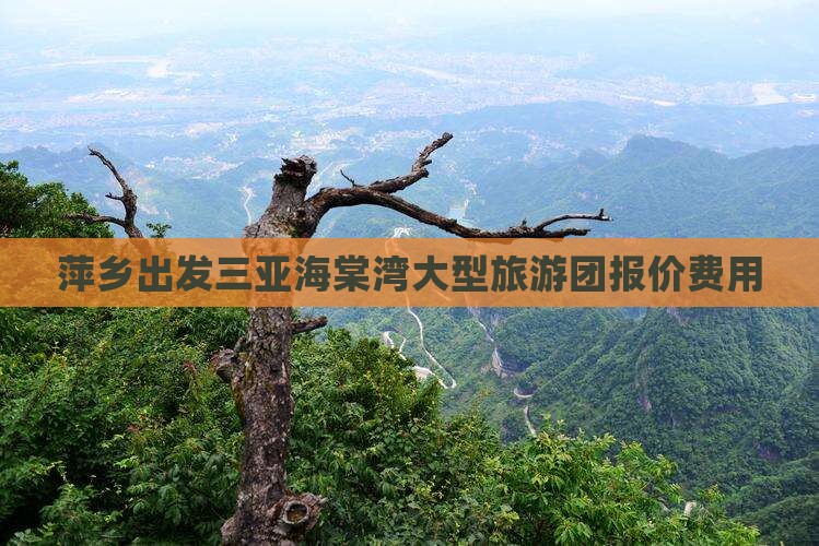 萍乡出发三亚海棠湾大型旅游团报价费用