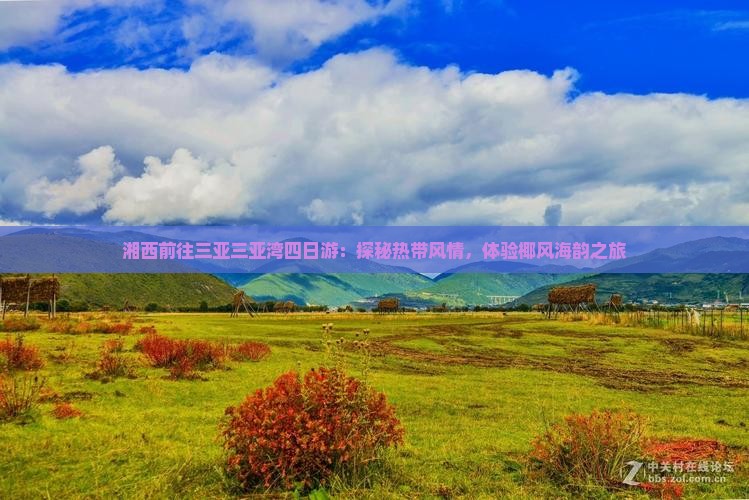 湘西前往三亚三亚湾四日游：探秘热带风情，体验椰风海韵之旅