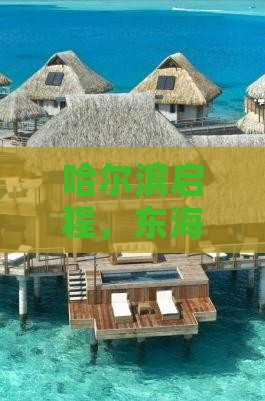 哈尔滨启程，东海三亚七日探险之旅