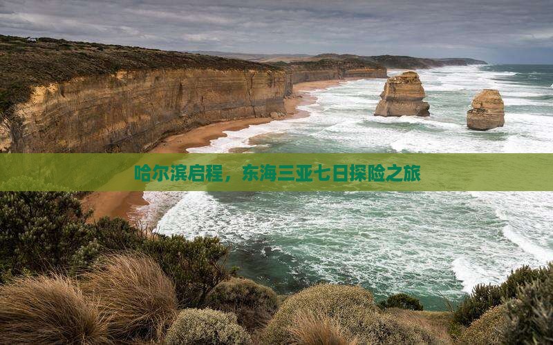 哈尔滨启程，东海三亚七日探险之旅