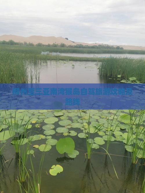 柳州至三亚南湾猴岛自驾旅游攻略及路线