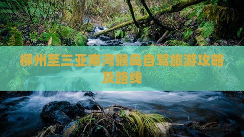 柳州至三亚南湾猴岛自驾旅游攻略及路线