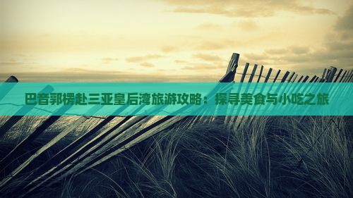巴音郭楞赴三亚皇后湾旅游攻略：探寻美食与小吃之旅