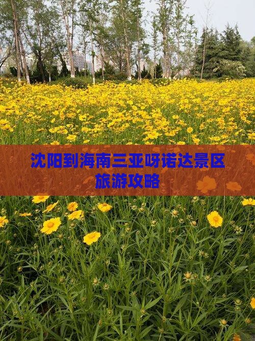 沈阳到海南三亚呀诺达景区旅游攻略