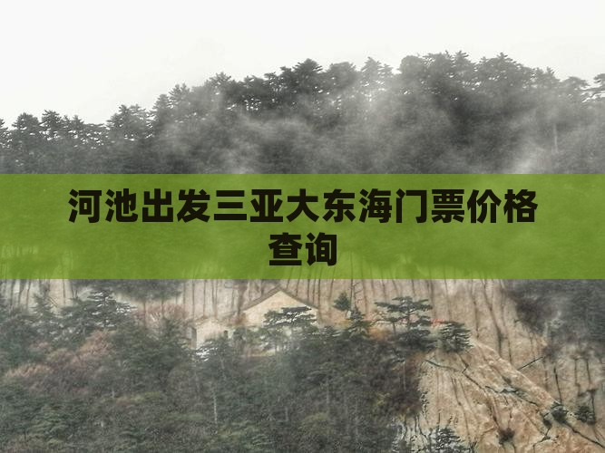 河池出发三亚大东海门票价格查询