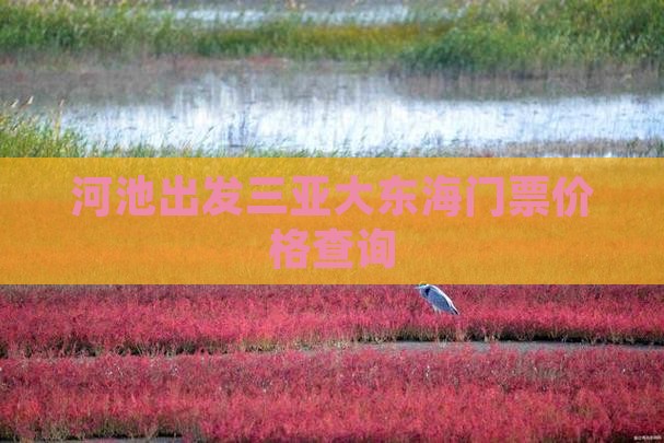 河池出发三亚大东海门票价格查询