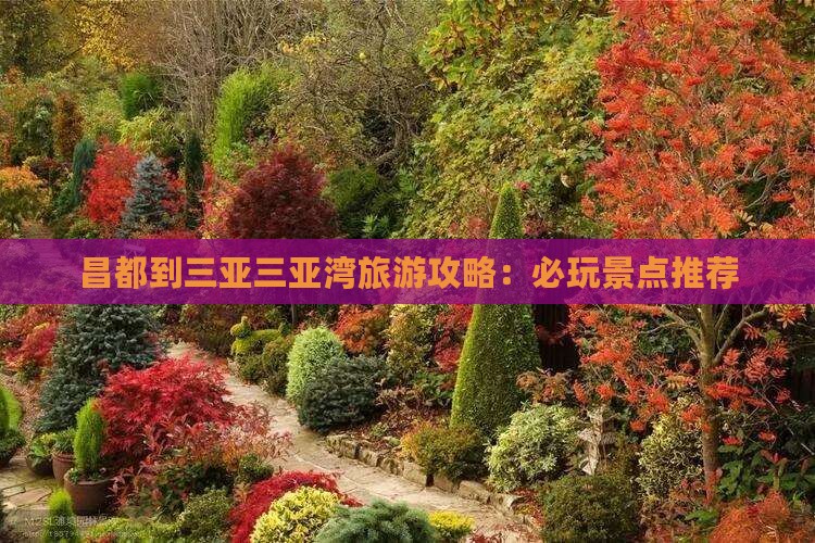 昌都到三亚三亚湾旅游攻略：必玩景点推荐