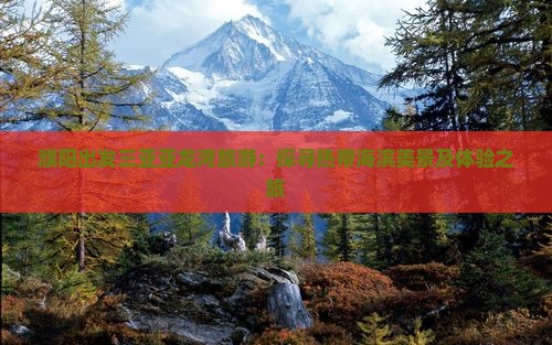 濮阳出发三亚亚龙湾旅游：探寻热带海滨美景及体验之旅