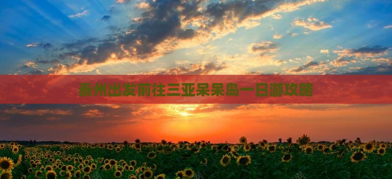 泰州出发前往三亚呆呆岛一日游攻略