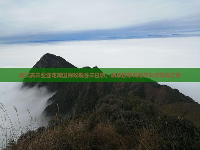 潜江去三亚亚龙湾国际玫瑰谷三日游，畅享热带风情与浪漫花海之旅