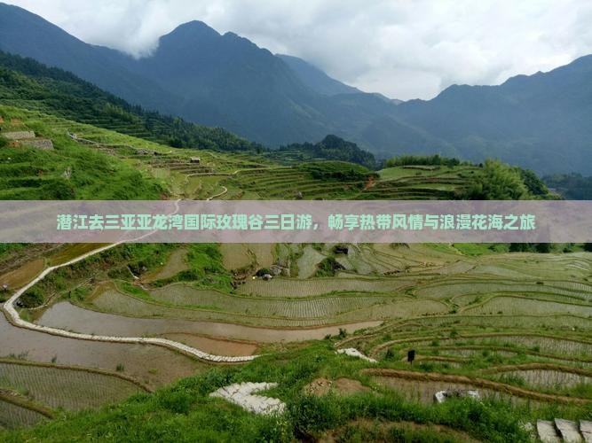 潜江去三亚亚龙湾国际玫瑰谷三日游，畅享热带风情与浪漫花海之旅