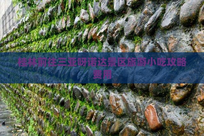 桂林前往三亚呀诺达景区旅游小吃攻略费用