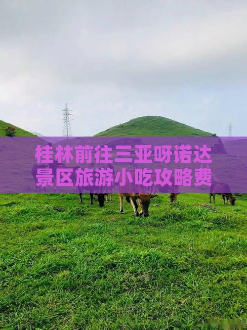 桂林前往三亚呀诺达景区旅游小吃攻略费用