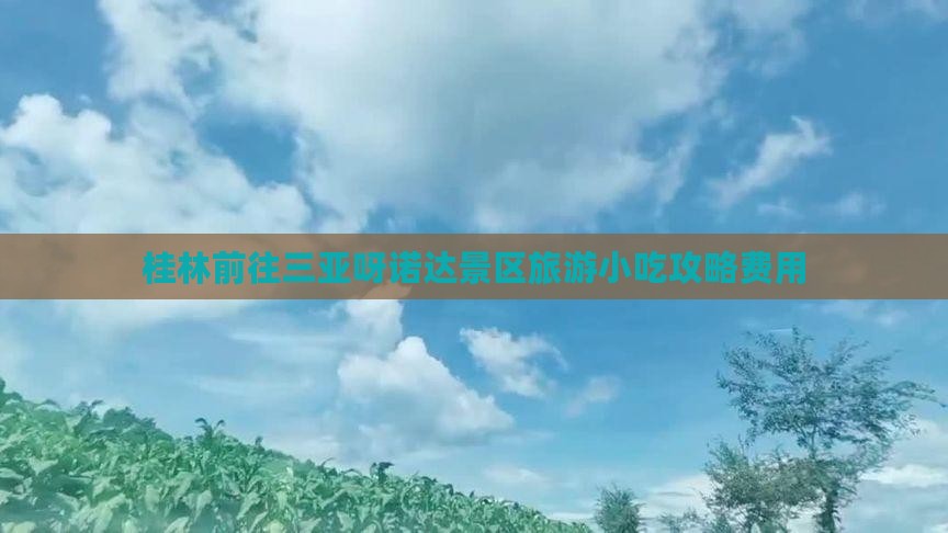 桂林前往三亚呀诺达景区旅游小吃攻略费用