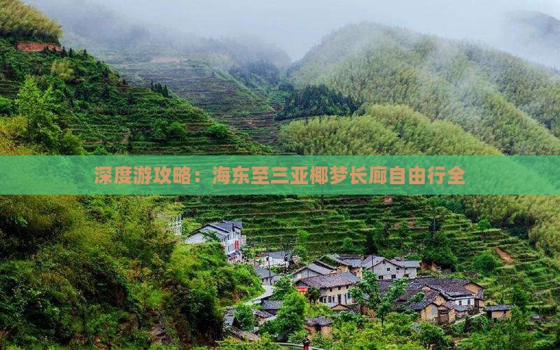 深度游攻略：海东至三亚椰梦长廊自由行全