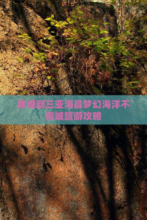 赤峰到三亚海昌梦幻海洋不夜城旅游攻略