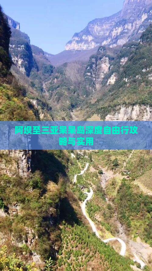 阿坝至三亚呆呆岛深度自由行攻略与实用