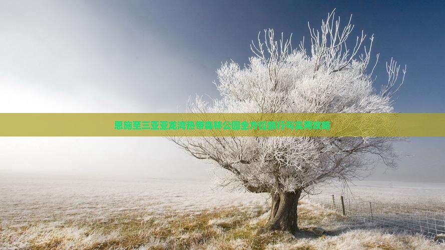 恩施至三亚亚龙湾热带森林公园全方位旅行与实用攻略