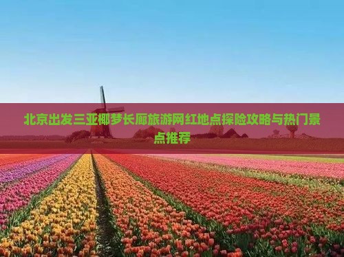 北京出发三亚椰梦长廊旅游网红地点探险攻略与热门景点推荐