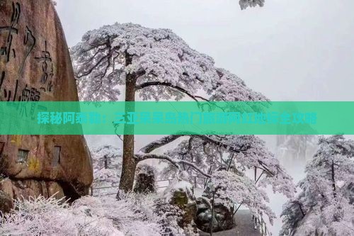探秘阿泰勒：三亚呆呆岛热门旅游网红地标全攻略