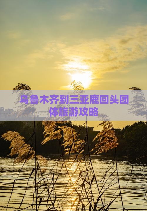 乌鲁木齐到三亚鹿回头团体旅游攻略