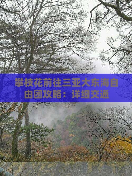 攀枝花前往三亚大东海自由团攻略：详细交通