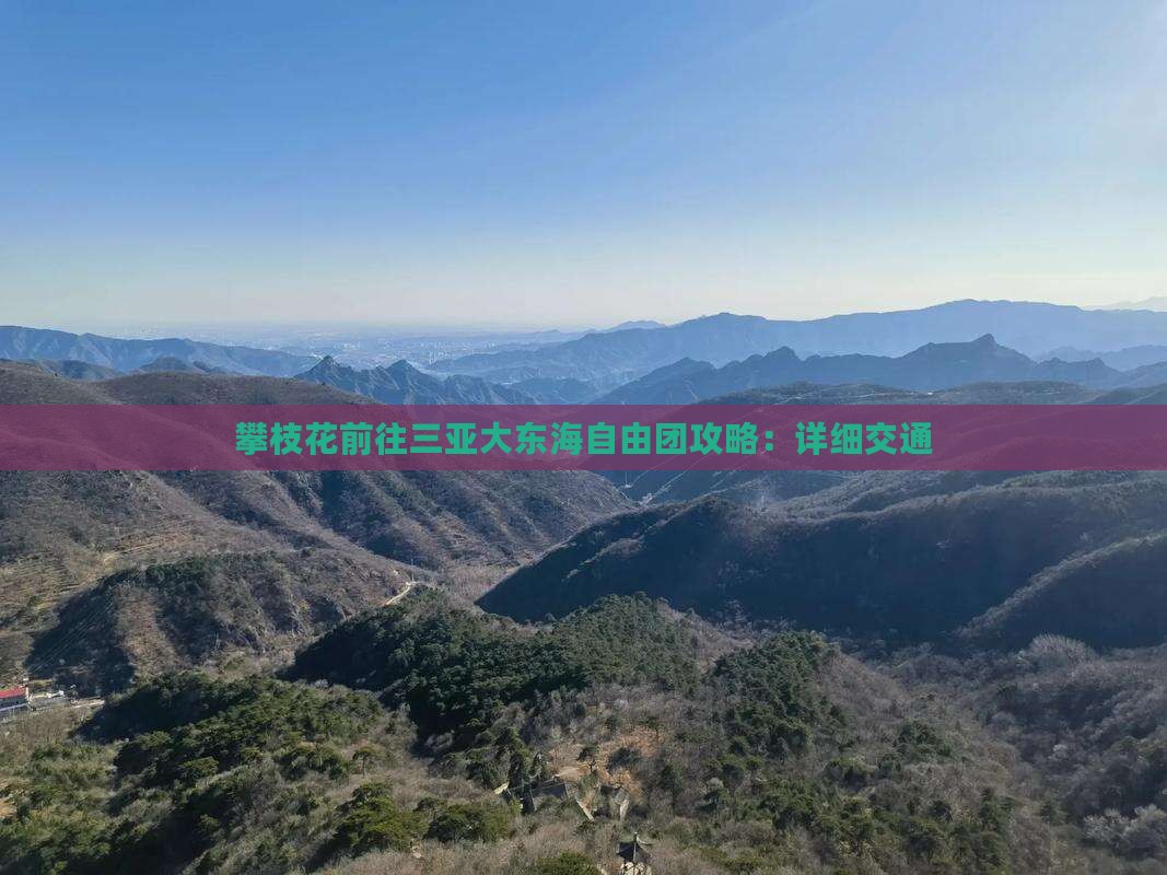 攀枝花前往三亚大东海自由团攻略：详细交通