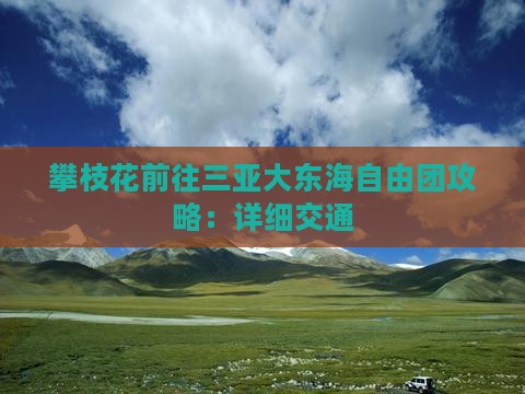 攀枝花前往三亚大东海自由团攻略：详细交通