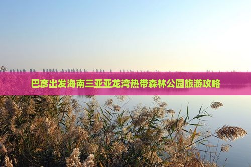 巴彦出发海南三亚亚龙湾热带森林公园旅游攻略
