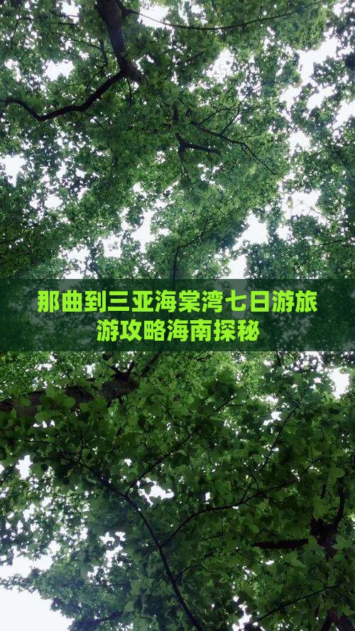 那曲到三亚海棠湾七日游旅游攻略海南探秘