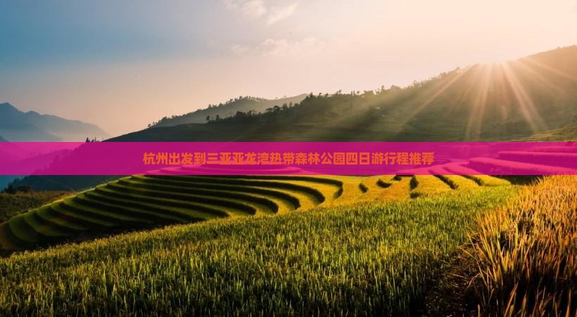 杭州出发到三亚亚龙湾热带森林公园四日游行程推荐