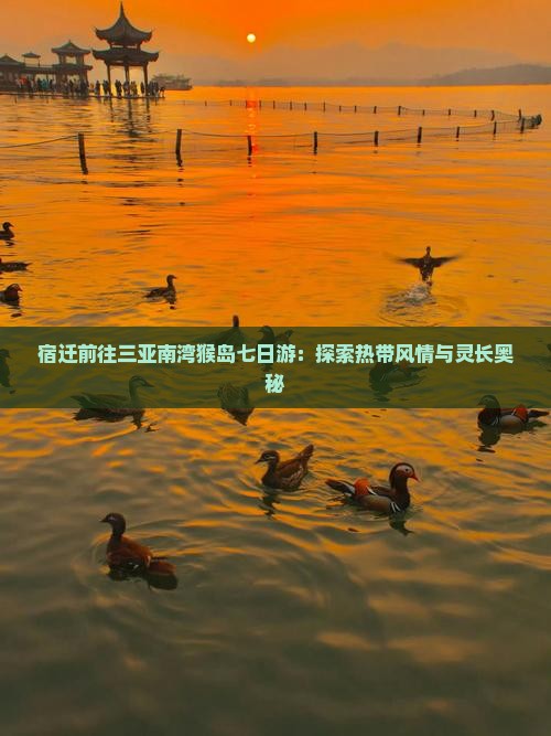 宿迁前往三亚南湾猴岛七日游：探索热带风情与灵长奥秘