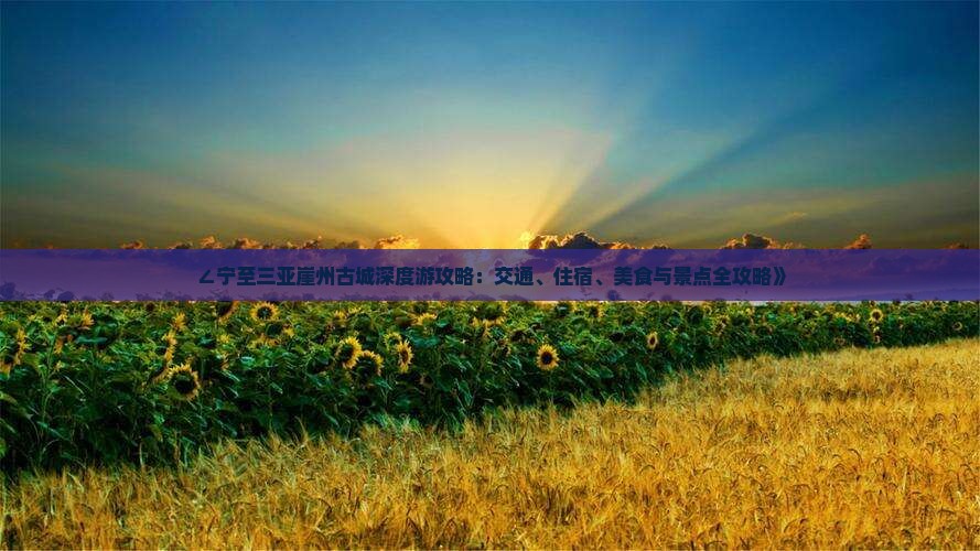 ∠宁至三亚崖州古城深度游攻略：交通、住宿、美食与景点全攻略》