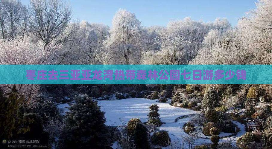 枣庄去三亚亚龙湾热带森林公园七日游多少钱