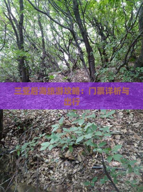 三亚后海旅游攻略：门票详析与出行