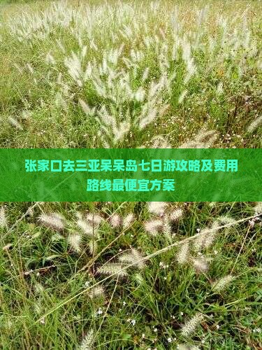张家口去三亚呆呆岛七日游攻略及费用路线最便宜方案