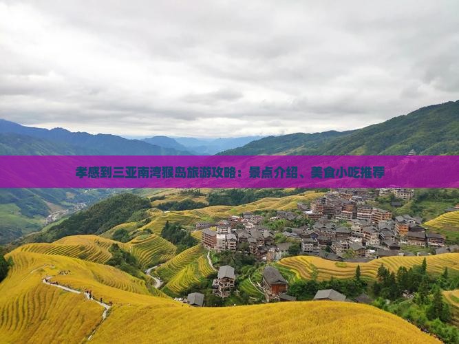 孝感到三亚南湾猴岛旅游攻略：景点介绍、美食小吃推荐