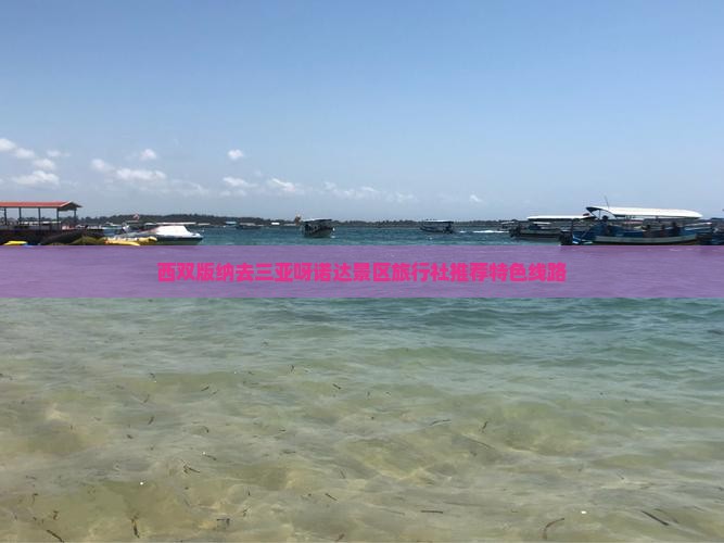 西双版纳去三亚呀诺达景区旅行社推荐特色线路 西双版纳去三亚呀诺达景区旅行社推荐特色线路