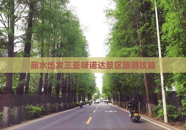 丽水出发三亚呀诺达景区旅游攻略