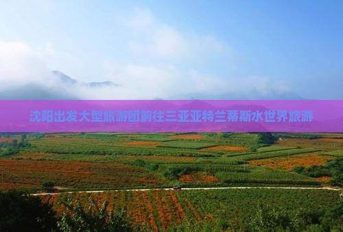 沈阳出发大型旅游团前往三亚亚特兰蒂斯水世界旅游