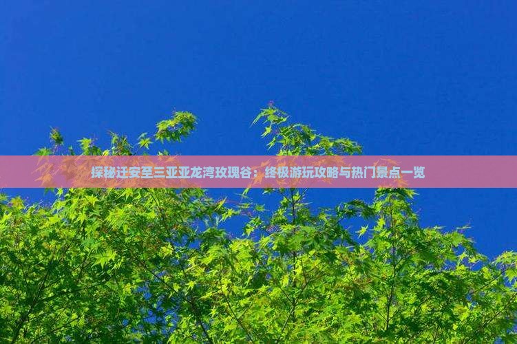 探秘迁安至三亚亚龙湾玫瑰谷：终极游玩攻略与热门景点一览