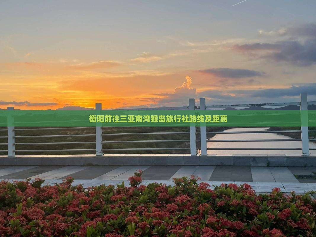 衡阳前往三亚南湾猴岛旅行社路线及距离