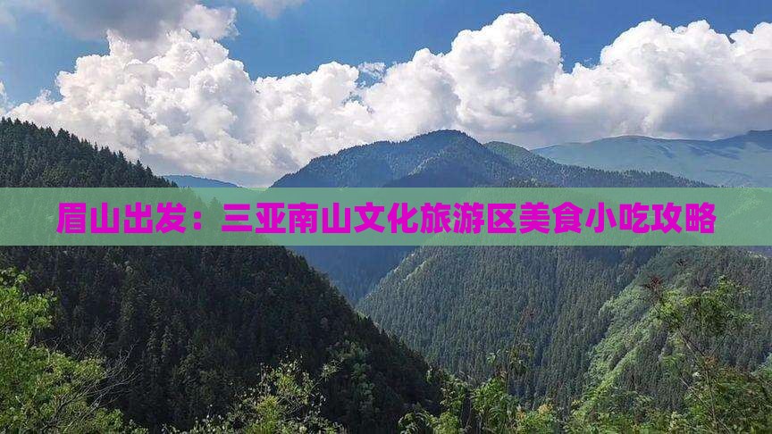 眉山出发：三亚南山文化旅游区美食小吃攻略