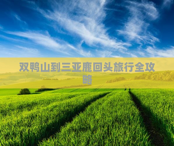 双鸭山到三亚鹿回头旅行全攻略