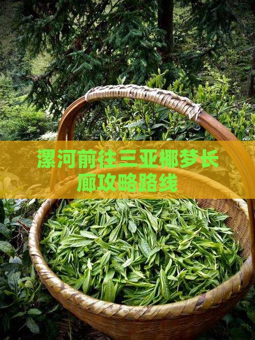 漯河前往三亚椰梦长廊攻略路线